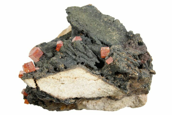 Small Red Vanadinite Crystals on Goethite - Morocco #366224